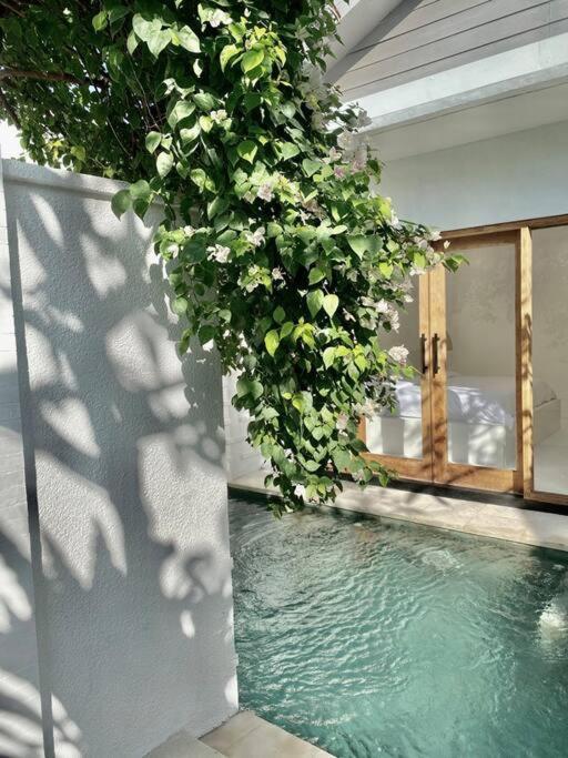 Villa Enda Canggu 3 Bedroom Private